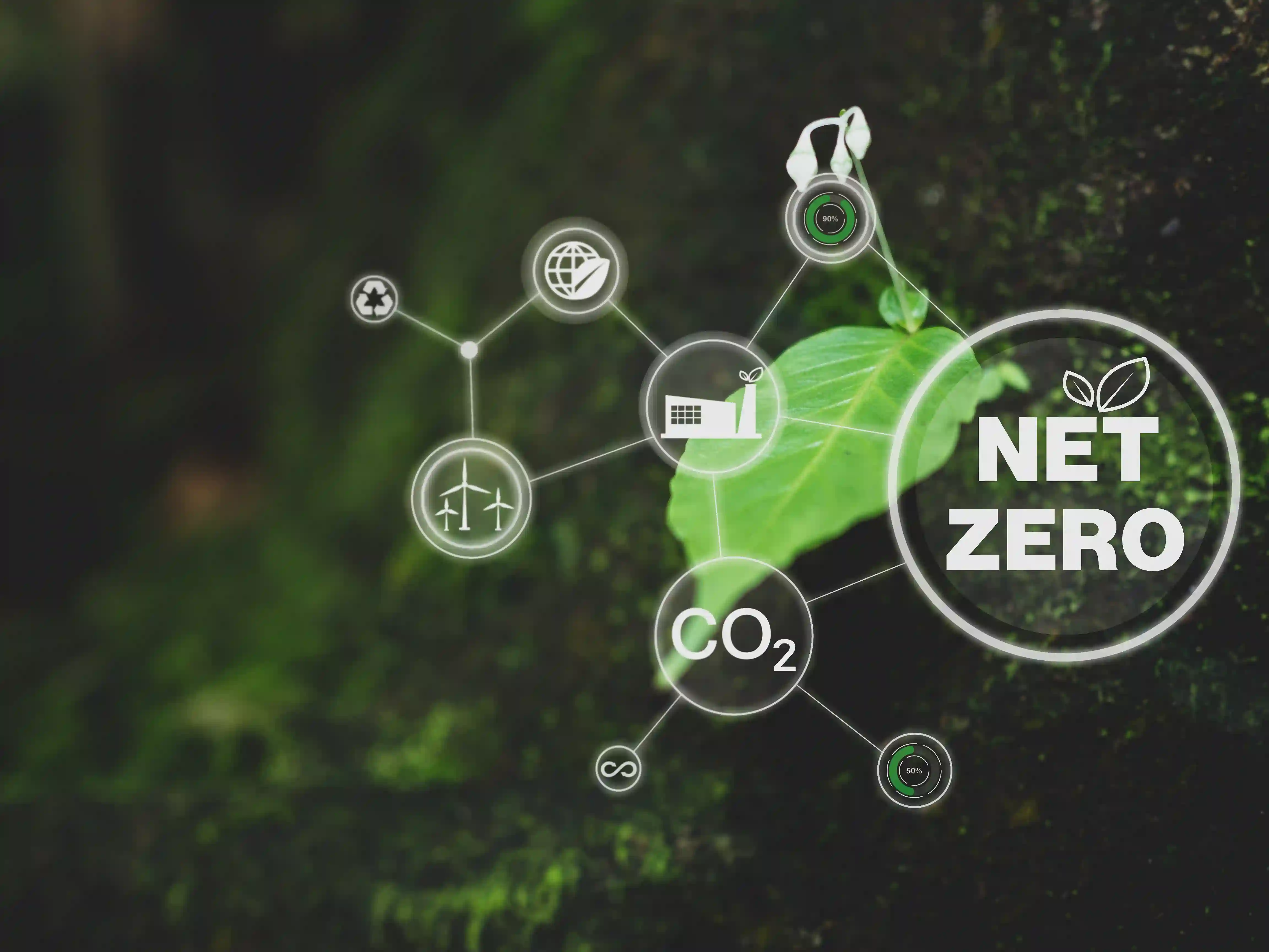 Carbon Trading in Kenya: A New Dawn or the Same Old Game?