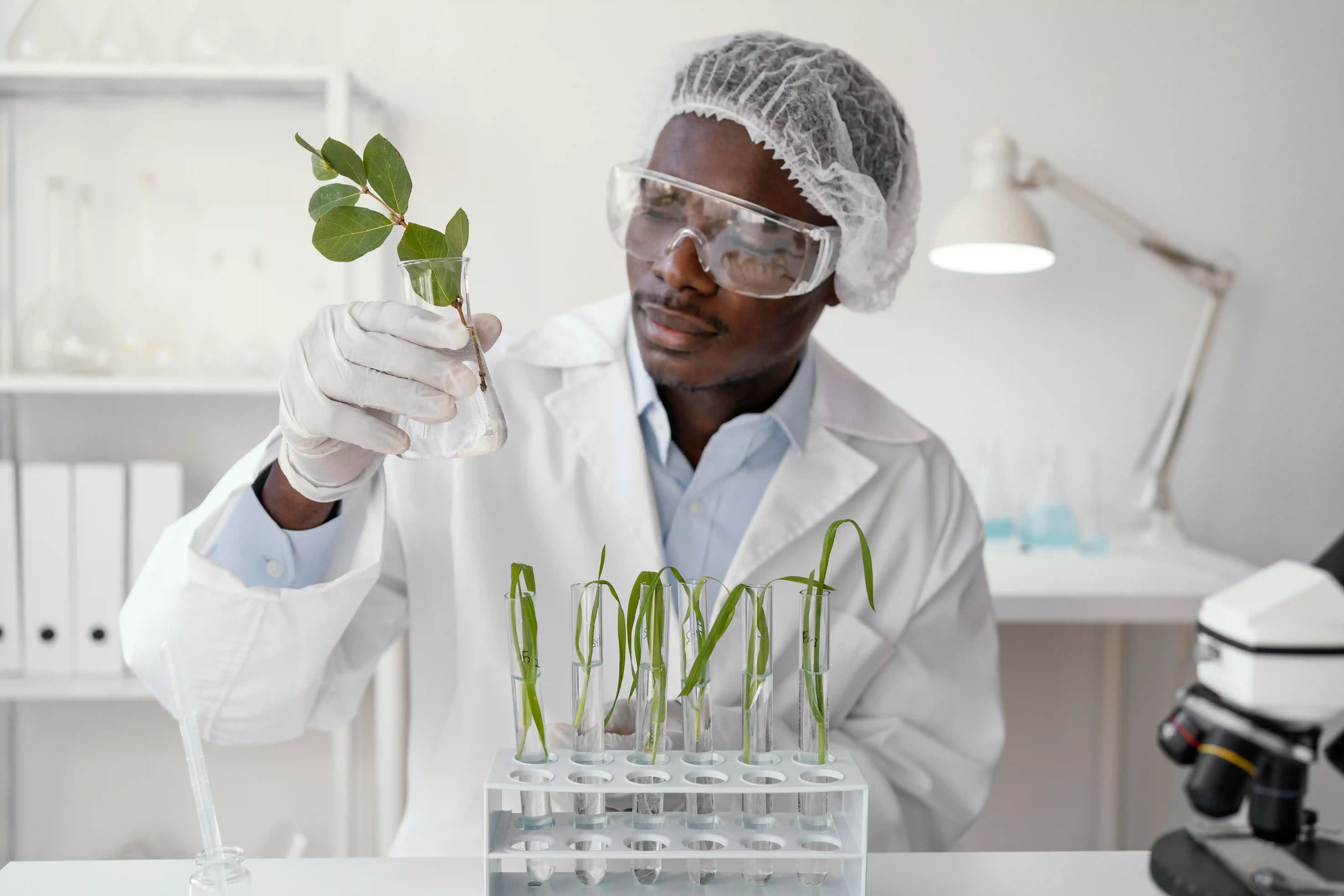 The Protection of Plant Breeder Rights in Kenya