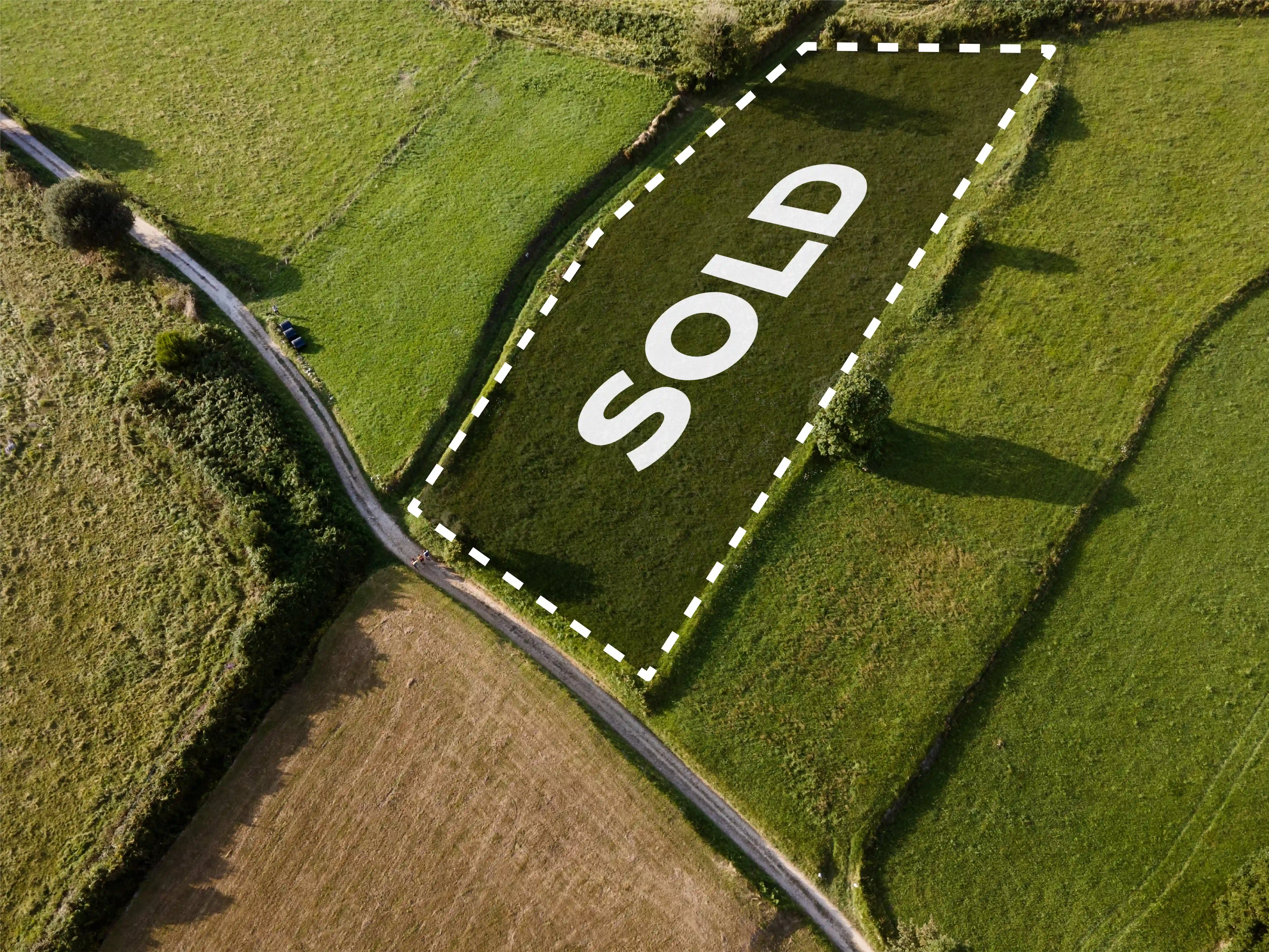 Court of Appeal Clarifies Limits of Title Protection and Allocation of Public Land