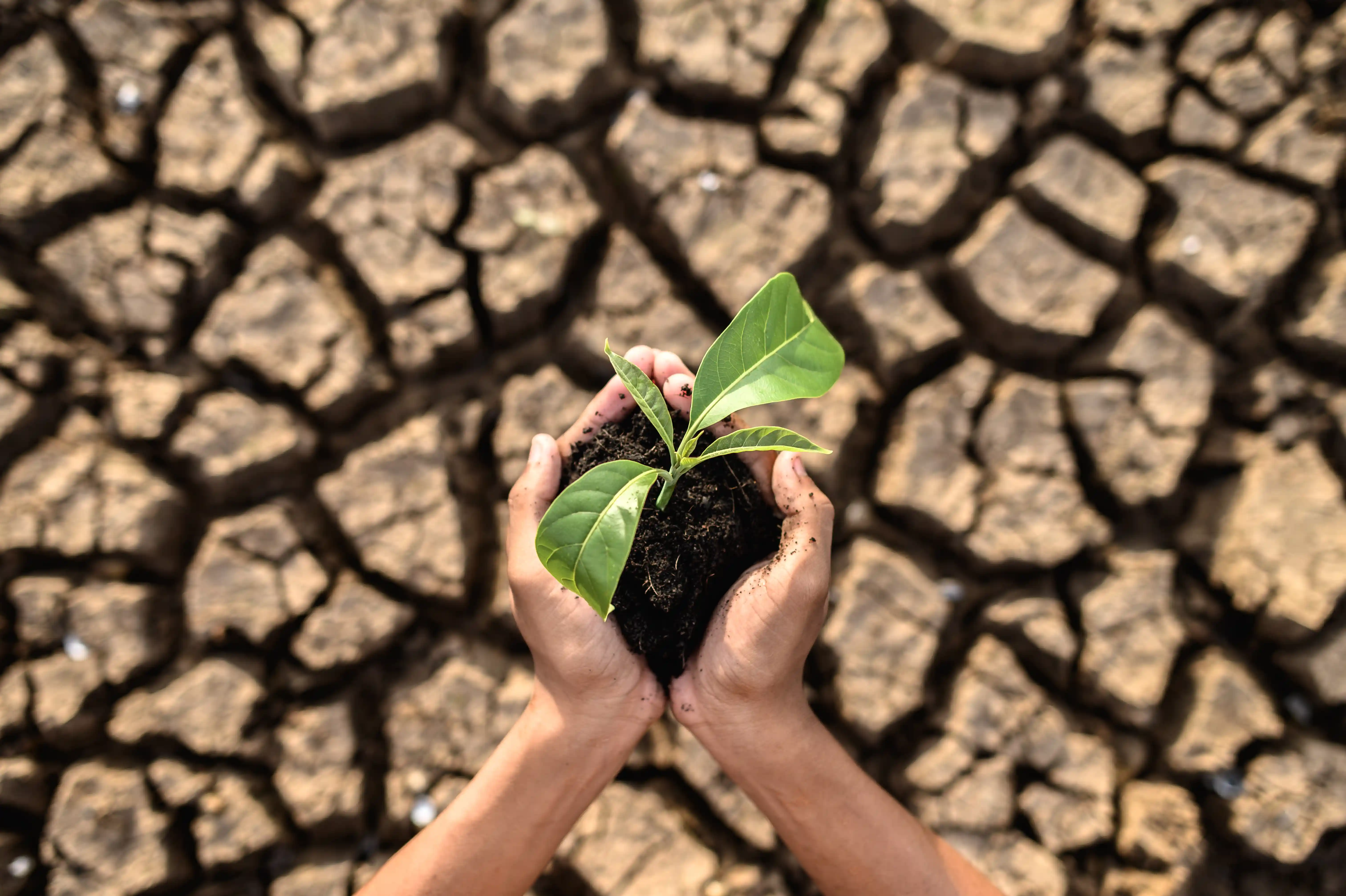 Climate Change