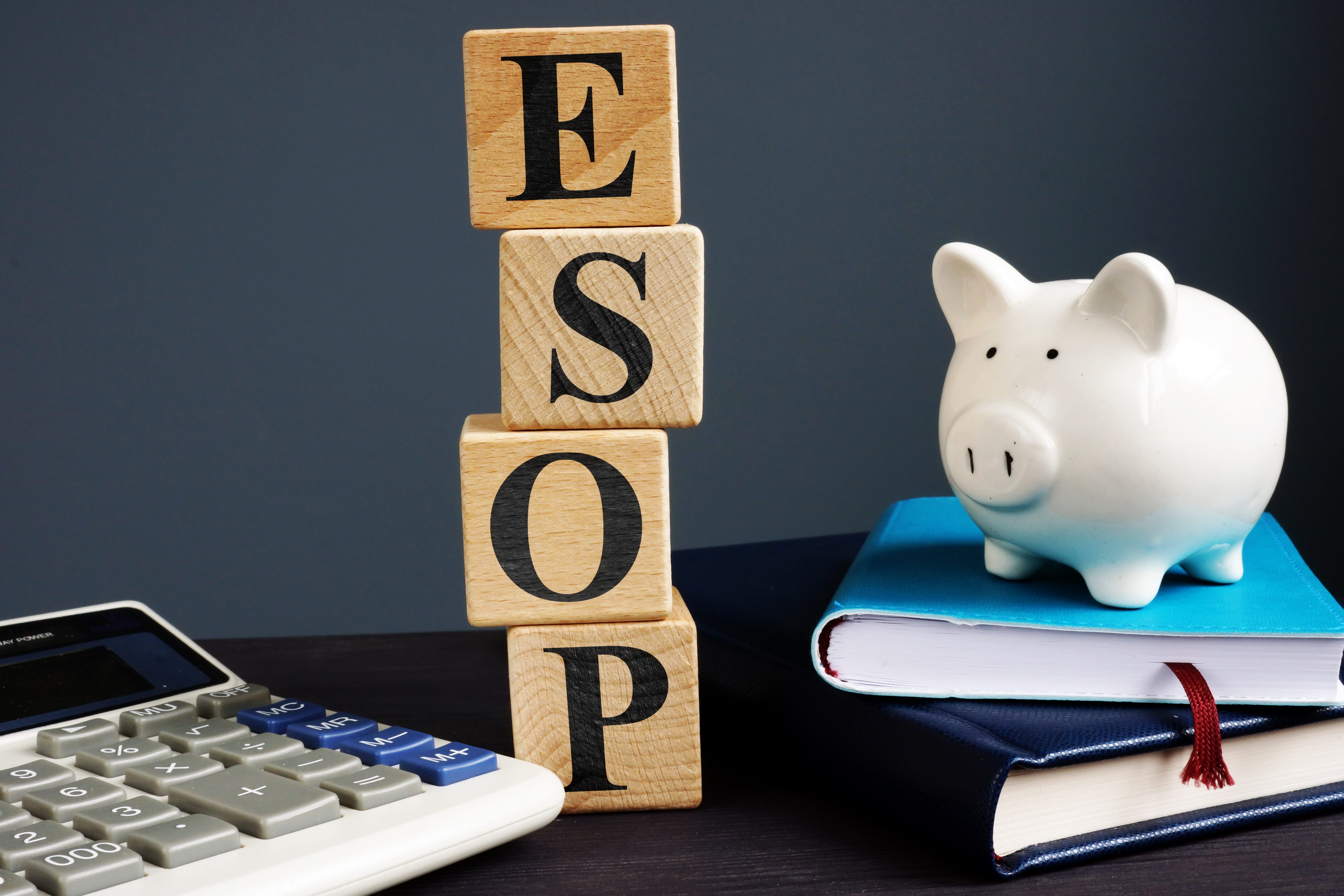 Tax Benefits of Employee Share Ownership Plan (ESOP)